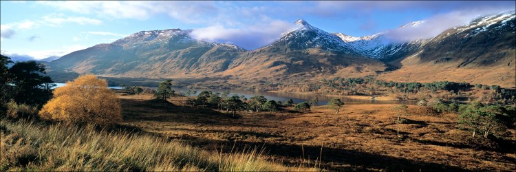 affric