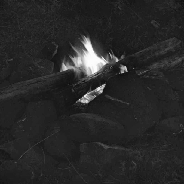 1561145470654737775_567074312