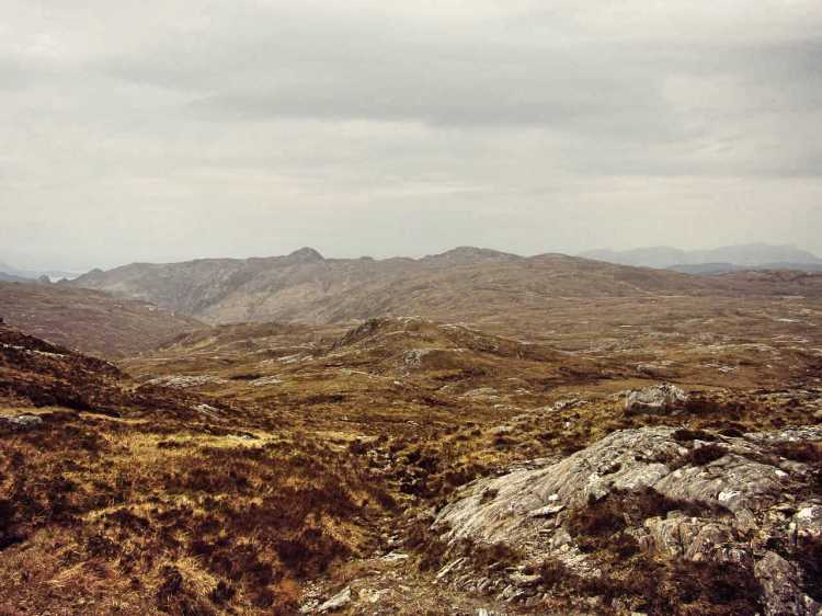 2017-05-12-16h06m47_rex_x