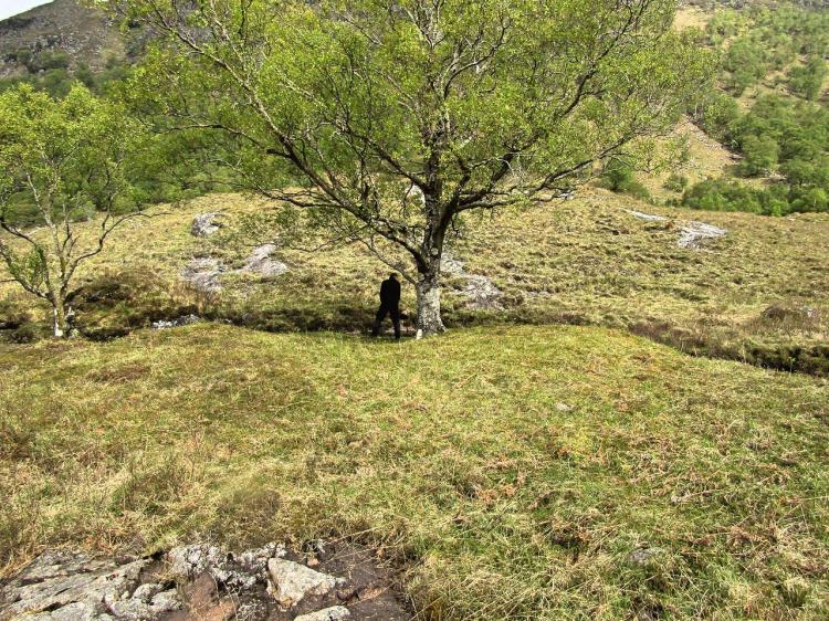 Sometimes you've gotta go