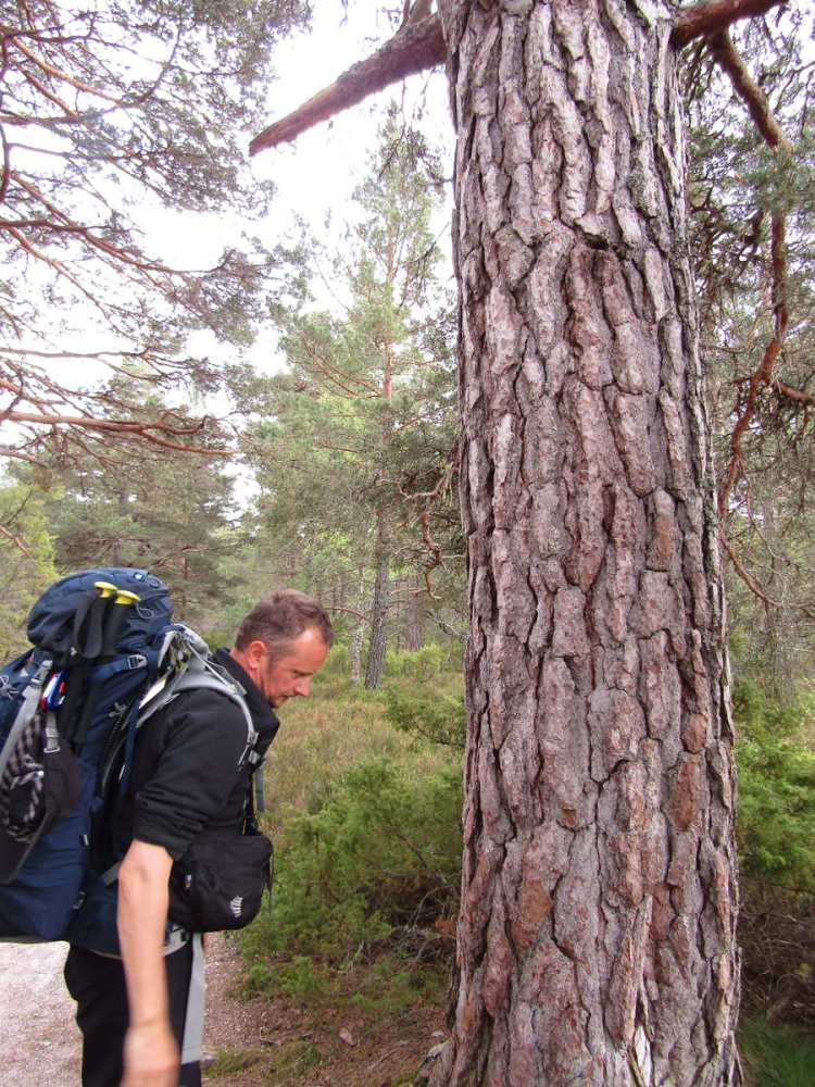 2017-05-17-18h31m05_rex_