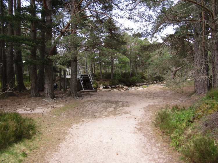 2017-05-17-19h17m54_rex_