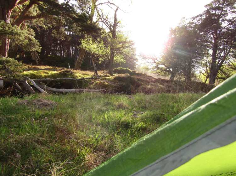 Water on the fly and evening light