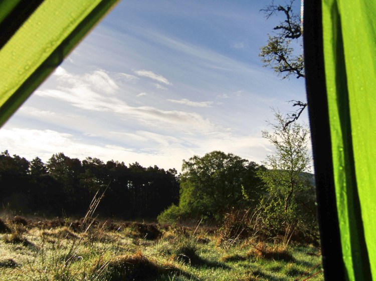 Morning in the Rothiemurchus