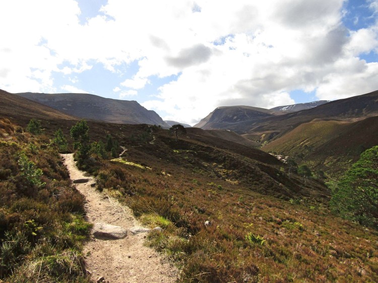 2017-05-18-10h09m38_rex_