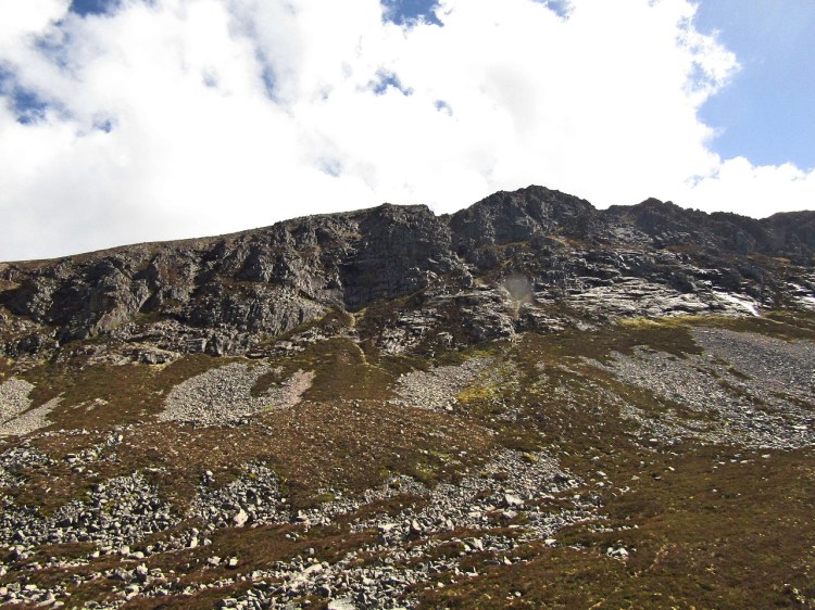 2017-05-18-11h14m09_rex_