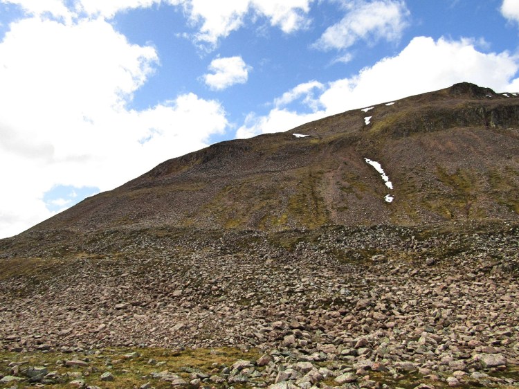 2017-05-18-12h32m29_rex_