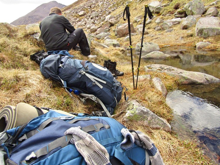 2017-05-18-13h08m28_rex_