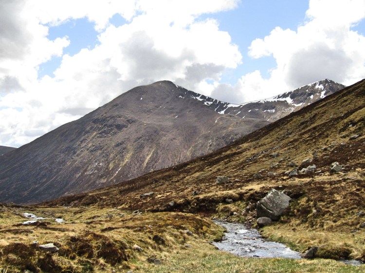 2017-05-18-13h42m12_rex_