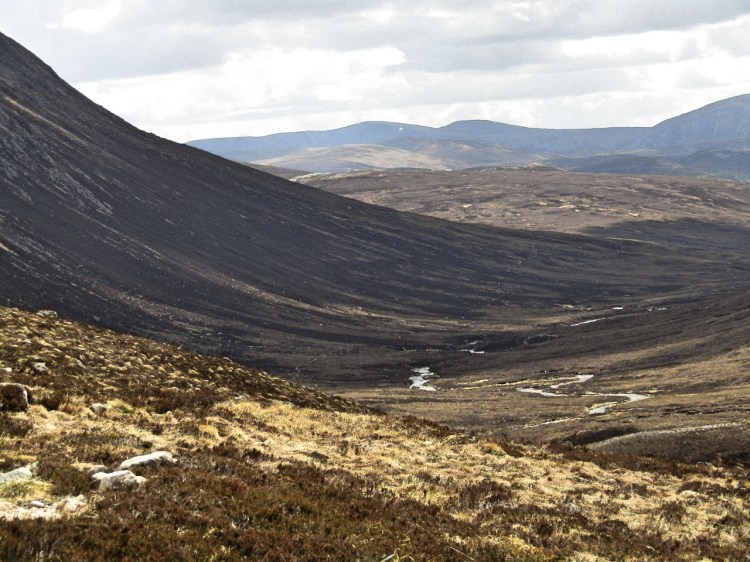 2017-05-18-13h57m25_rex_