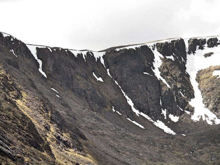 2017-05-18-14h14m38_rex_