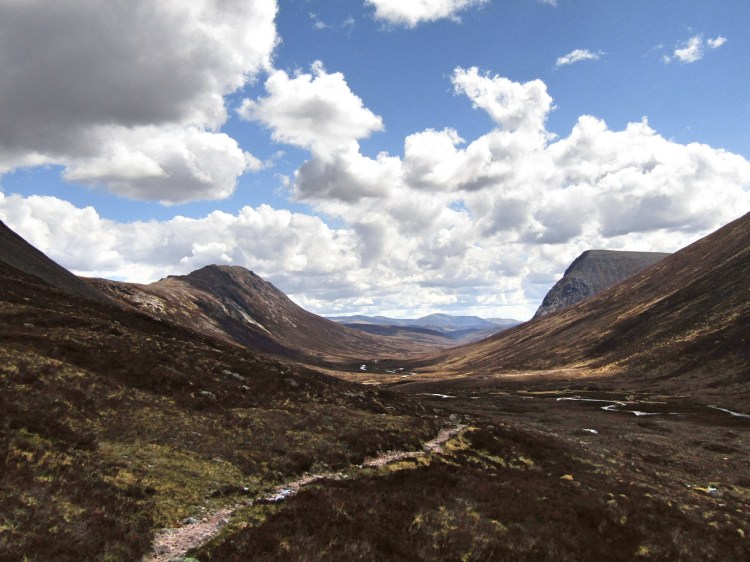 2017-05-18-14h20m31_rex_