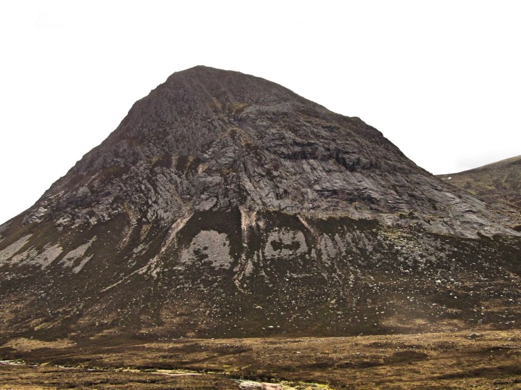 2017-05-18-15h46m29_rex_