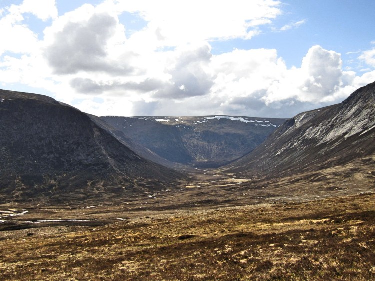 2017-05-18-16h09m36_rex_