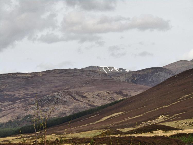 The snow just about still in sight