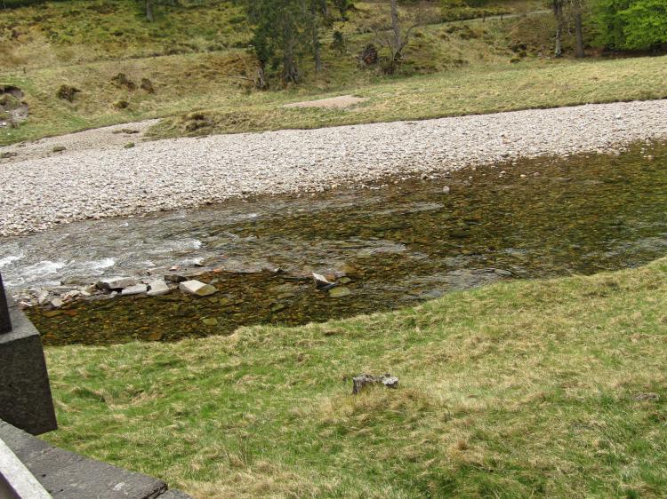 2017-05-19-12h24m46_rex_