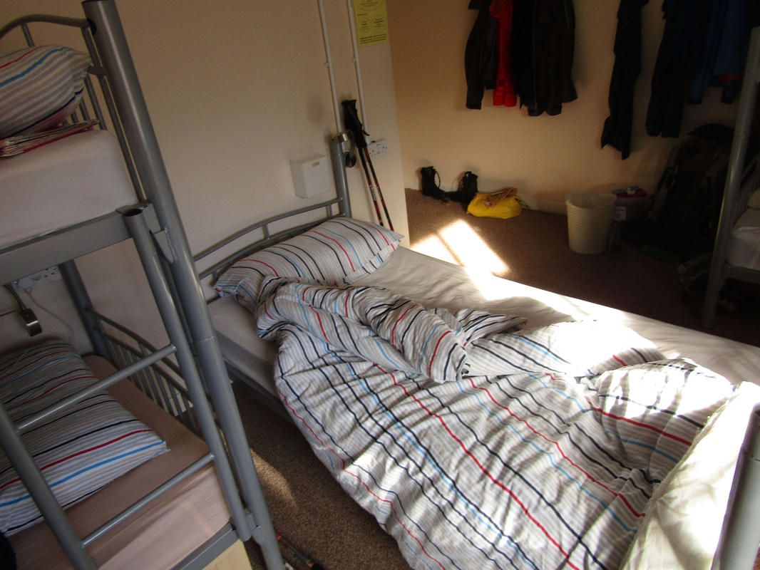 2017-05-21-07h34m54_rex_