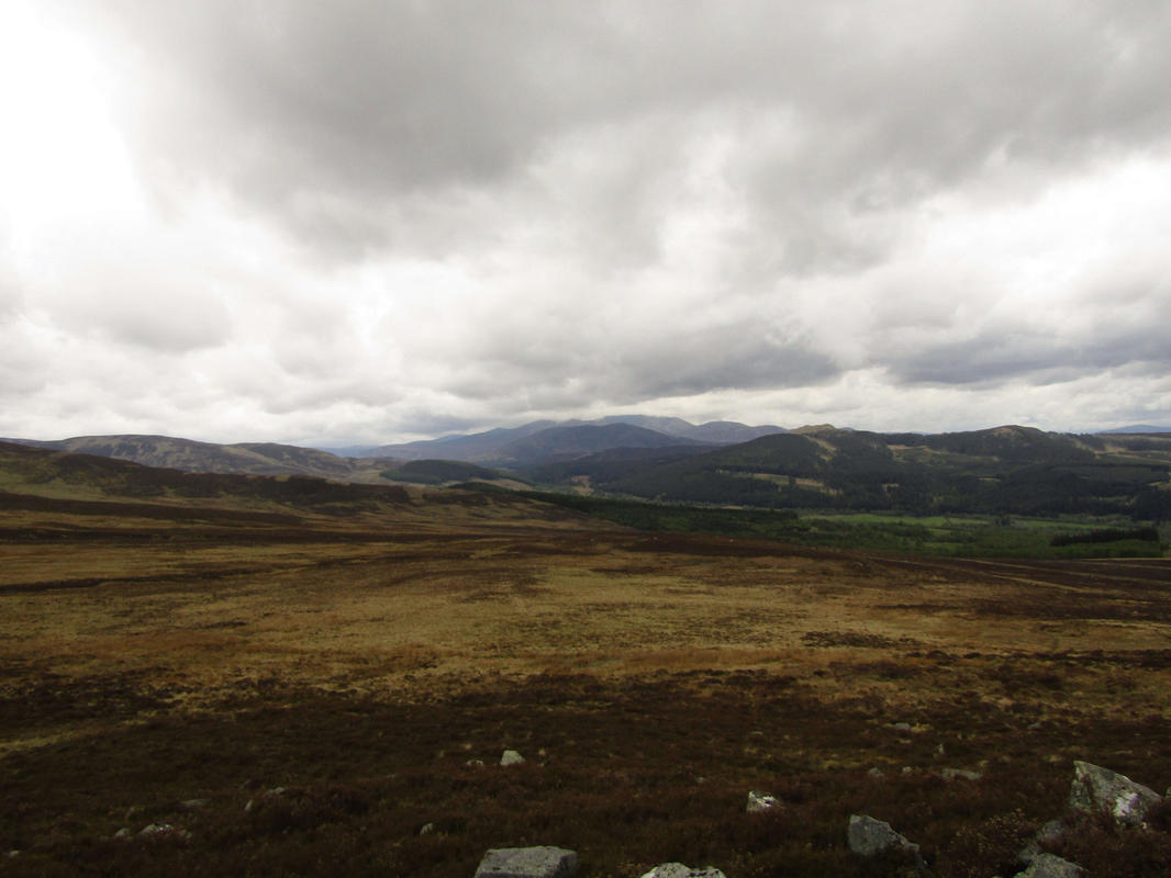 2017-05-21-10h33m11_rex_