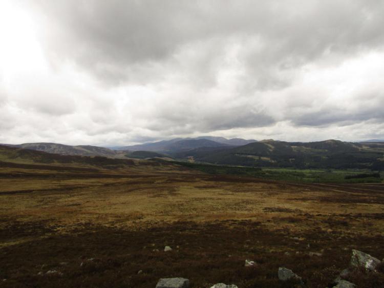 2017-05-21-10h33m11_rex_