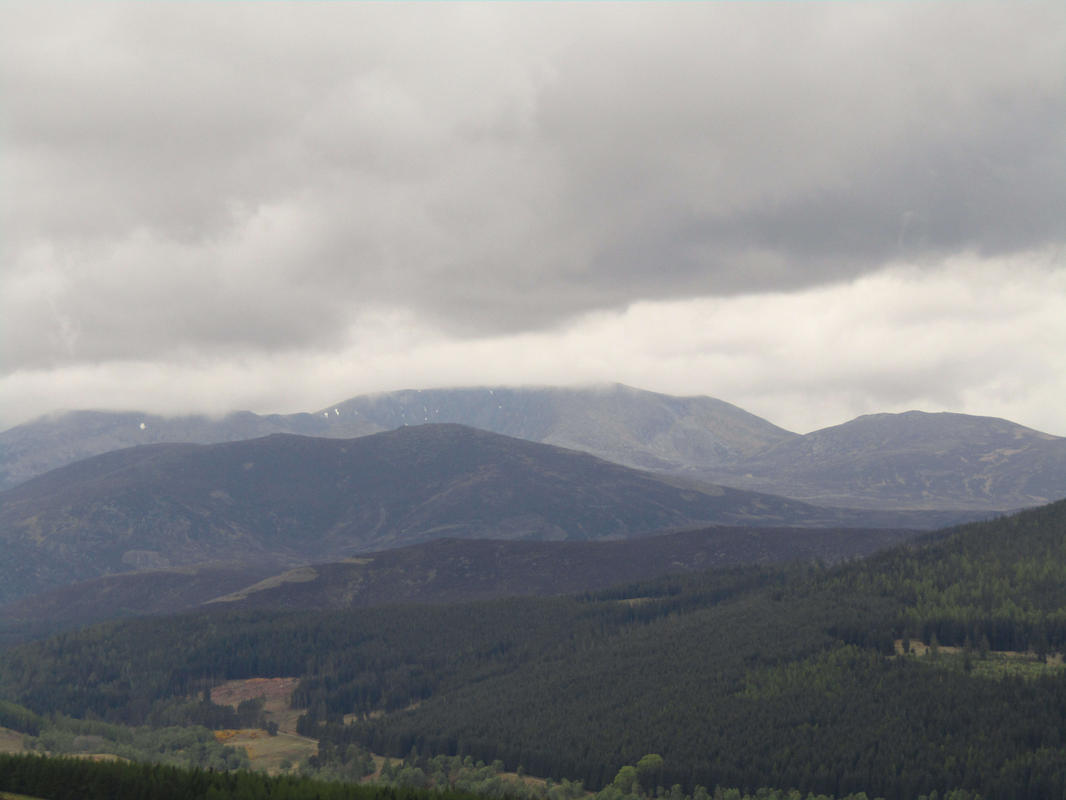 2017-05-21-10h33m32_rex_