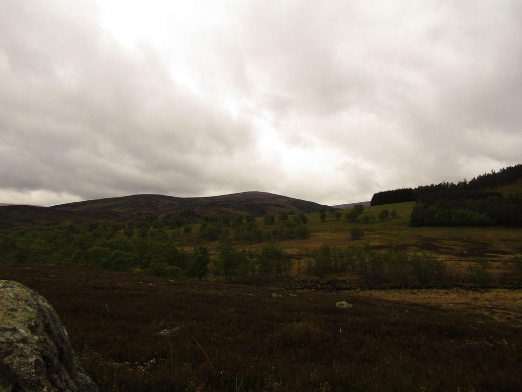 2017-05-21-16h13m22_rex_