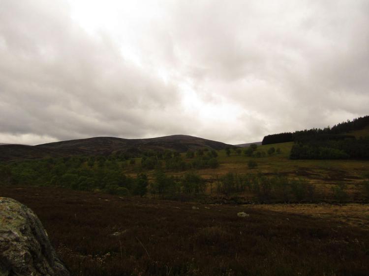 2017-05-21-16h13m22_rex_