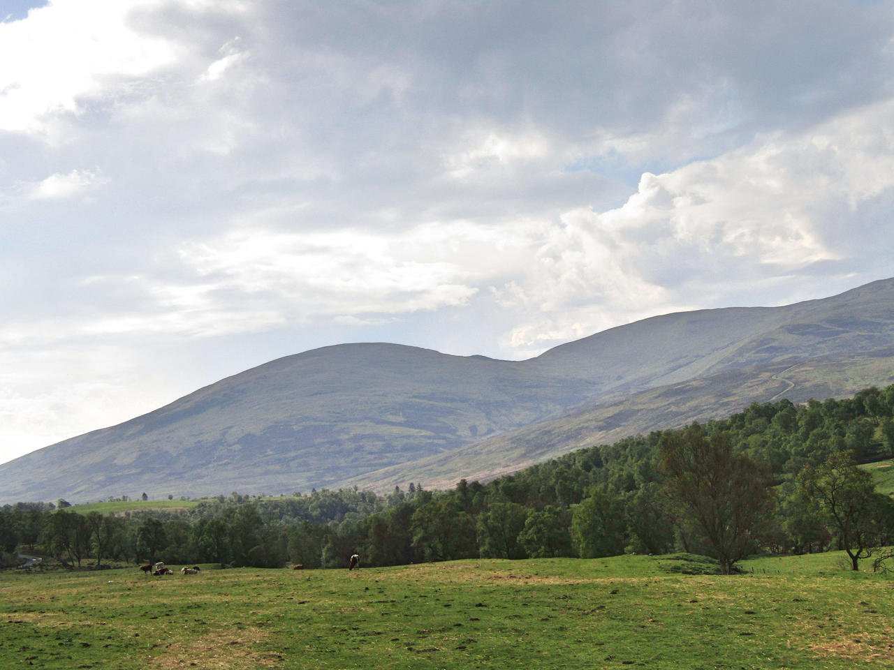 Towards the Hill of Wirren
