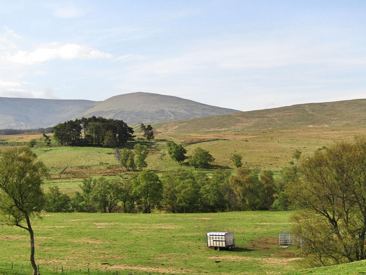 A superbly hidden house in the middle of the copse.