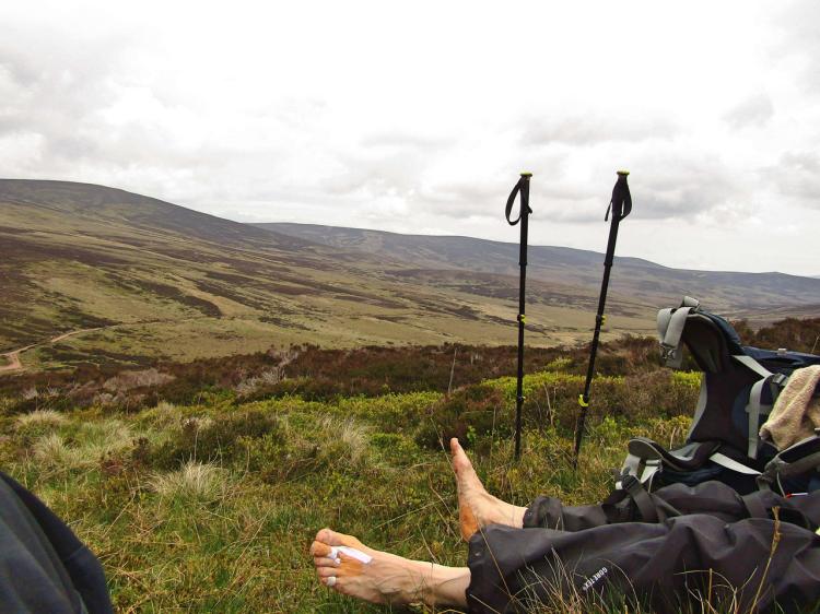 2017-05-22-12h16m10_rex_