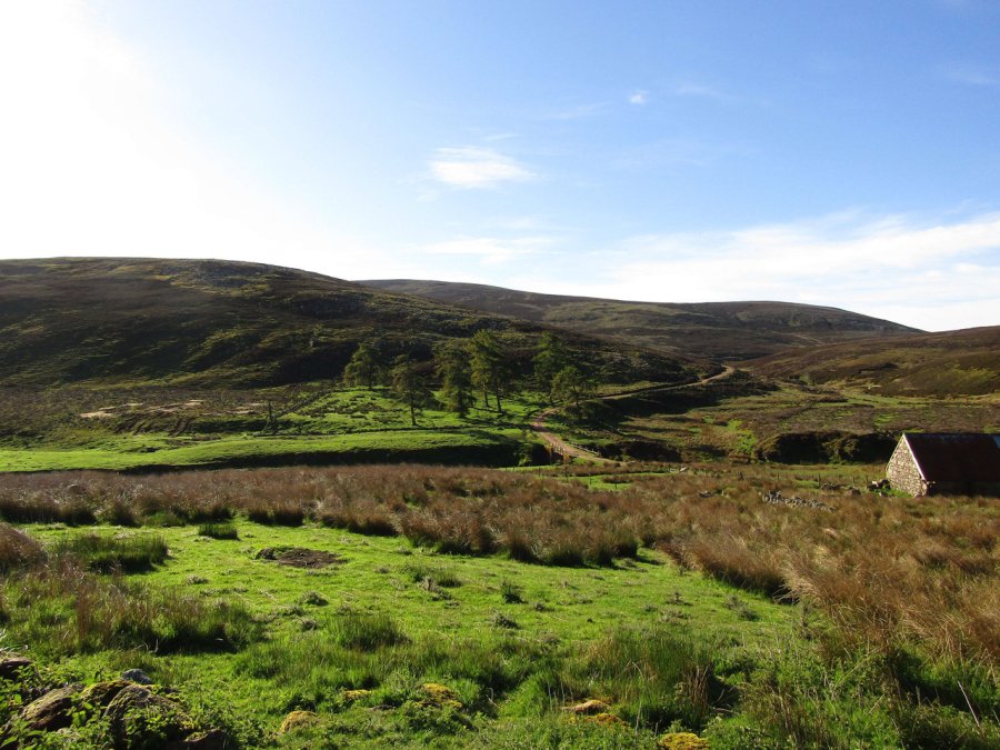 Not a bad start to the day