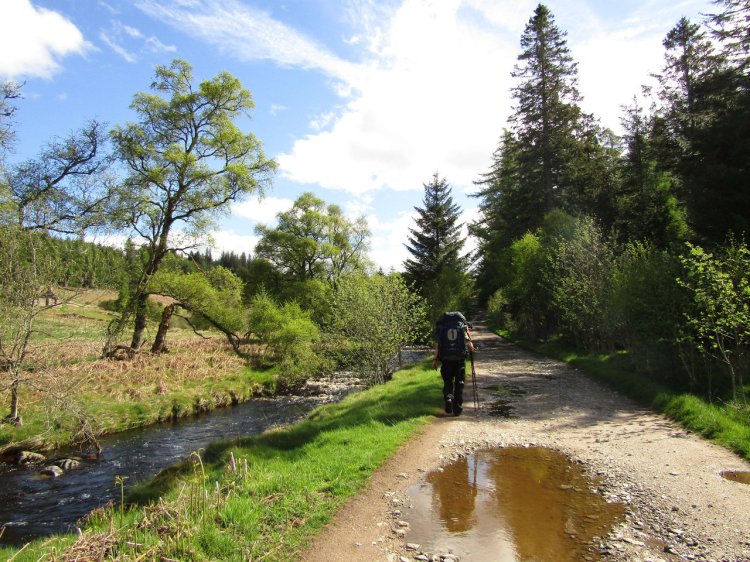 Gabe's too quick for photos