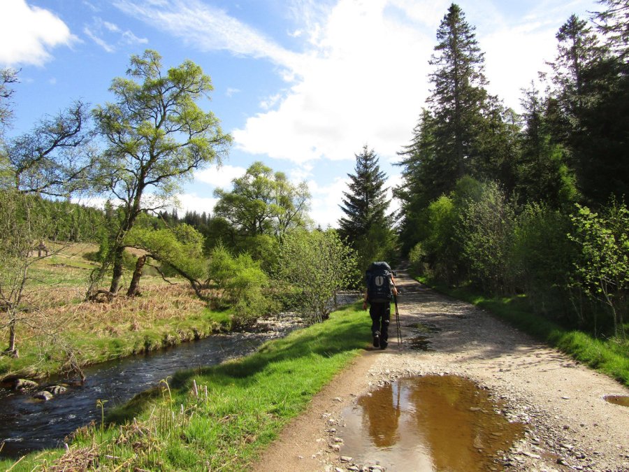 Gabe's too quick for photos