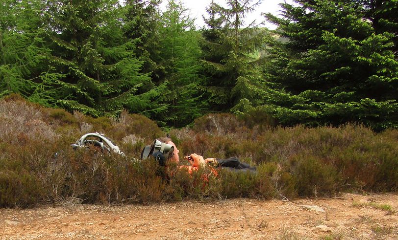 Laying down on the job