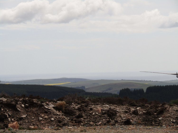 Our first view of the sea