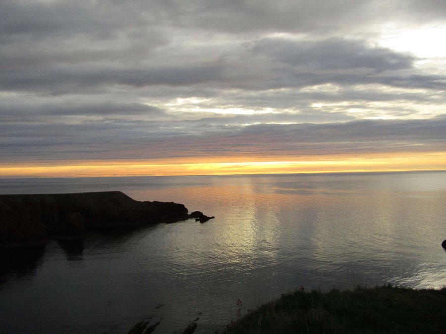 Nowhere else to go...