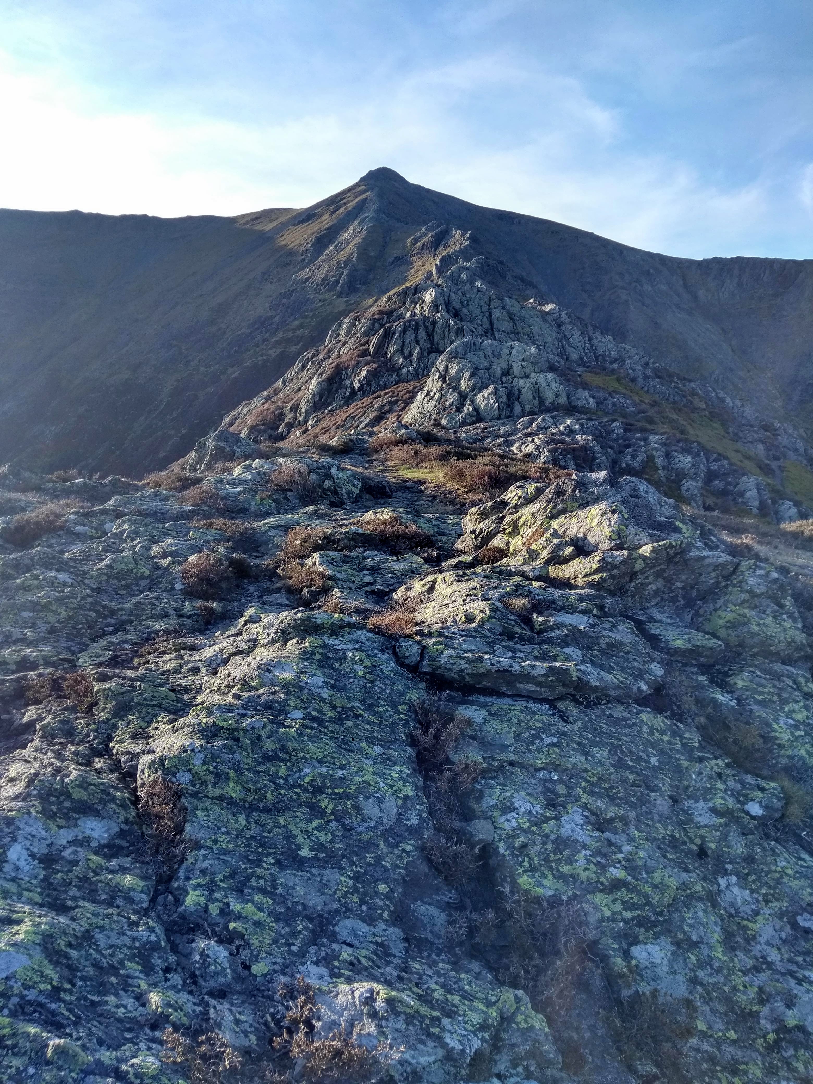 IMG_20200520_191428419_HDR